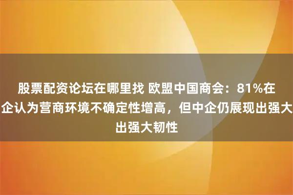股票配资论坛在哪里找 欧盟中国商会：81%在欧中企认为营商环境不确定性增高，但中企仍展现出强大韧性