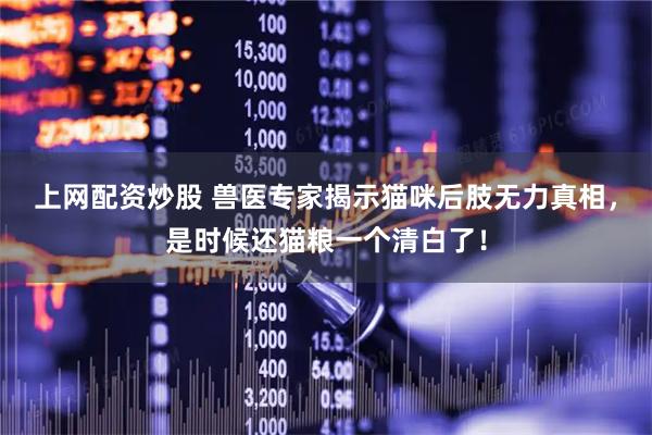 上网配资炒股 兽医专家揭示猫咪后肢无力真相，是时候还猫粮一个清白了！